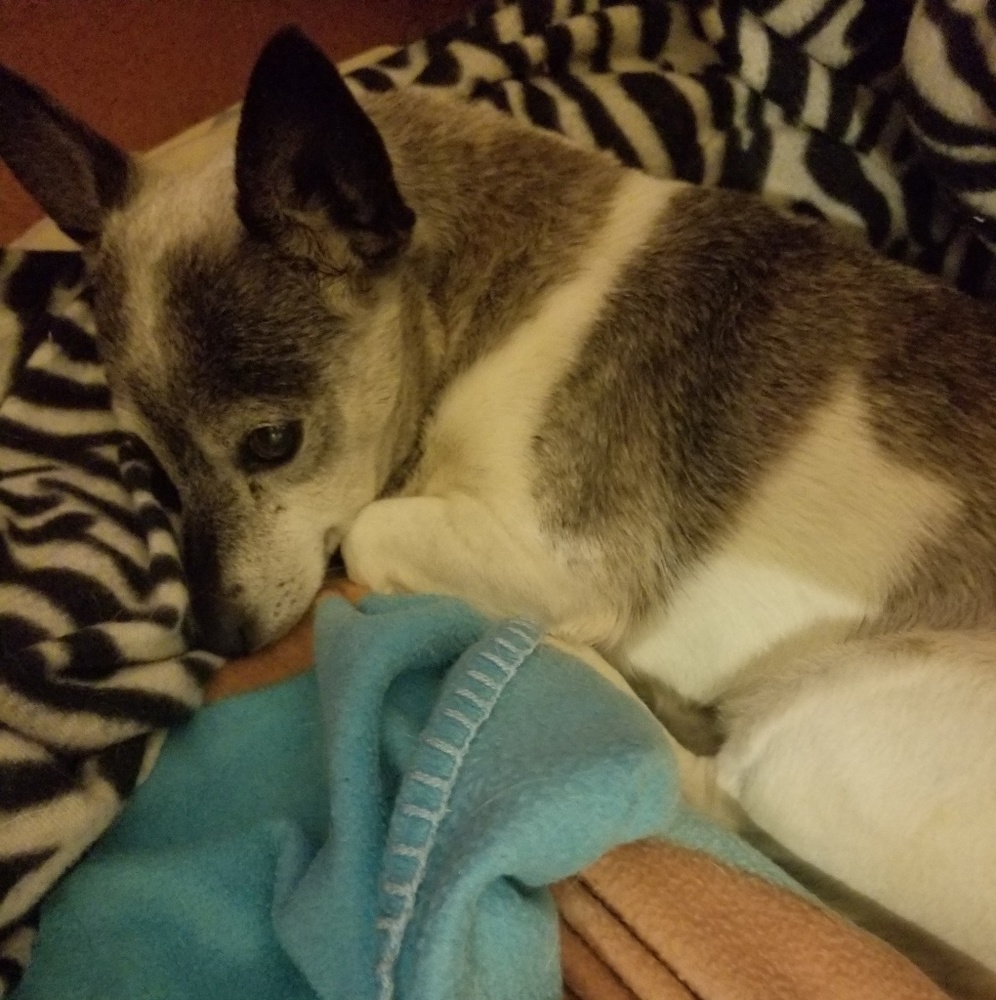 Meet your Posher, Hope